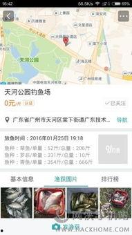 91钓鱼直播下载苹果,畅享钓鱼乐趣，尽在掌中