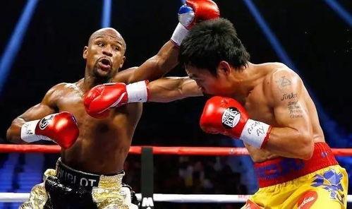 吃瓜娱乐拳击比赛视频在线观看,在线观看吃瓜娱乐拳击比赛精彩瞬间